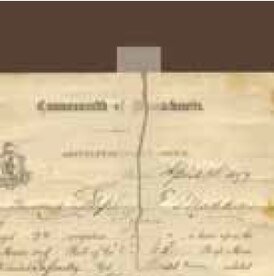 document repair tape 25 mm rol 10,65 m