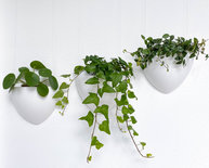 botaniq plantenbak 1,25L wit