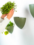 botaniq plantenbak 1,25L groen