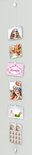 Picture Mouse Solo set per 5 stuks
